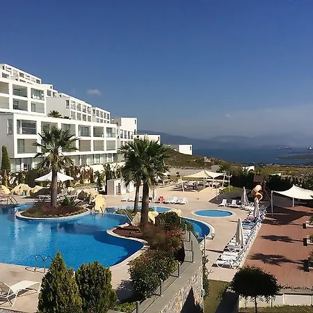 Horizon Sky Cherry 3 Kıyıkıslacık